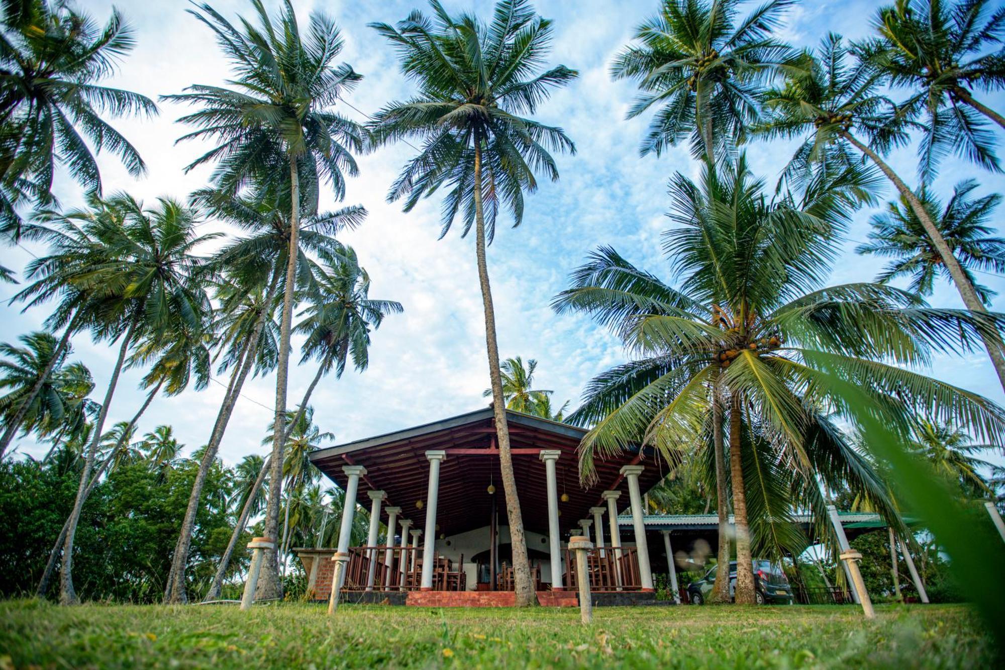 Helios Beach Resort แทนกาลเล ภายนอก รูปภาพ