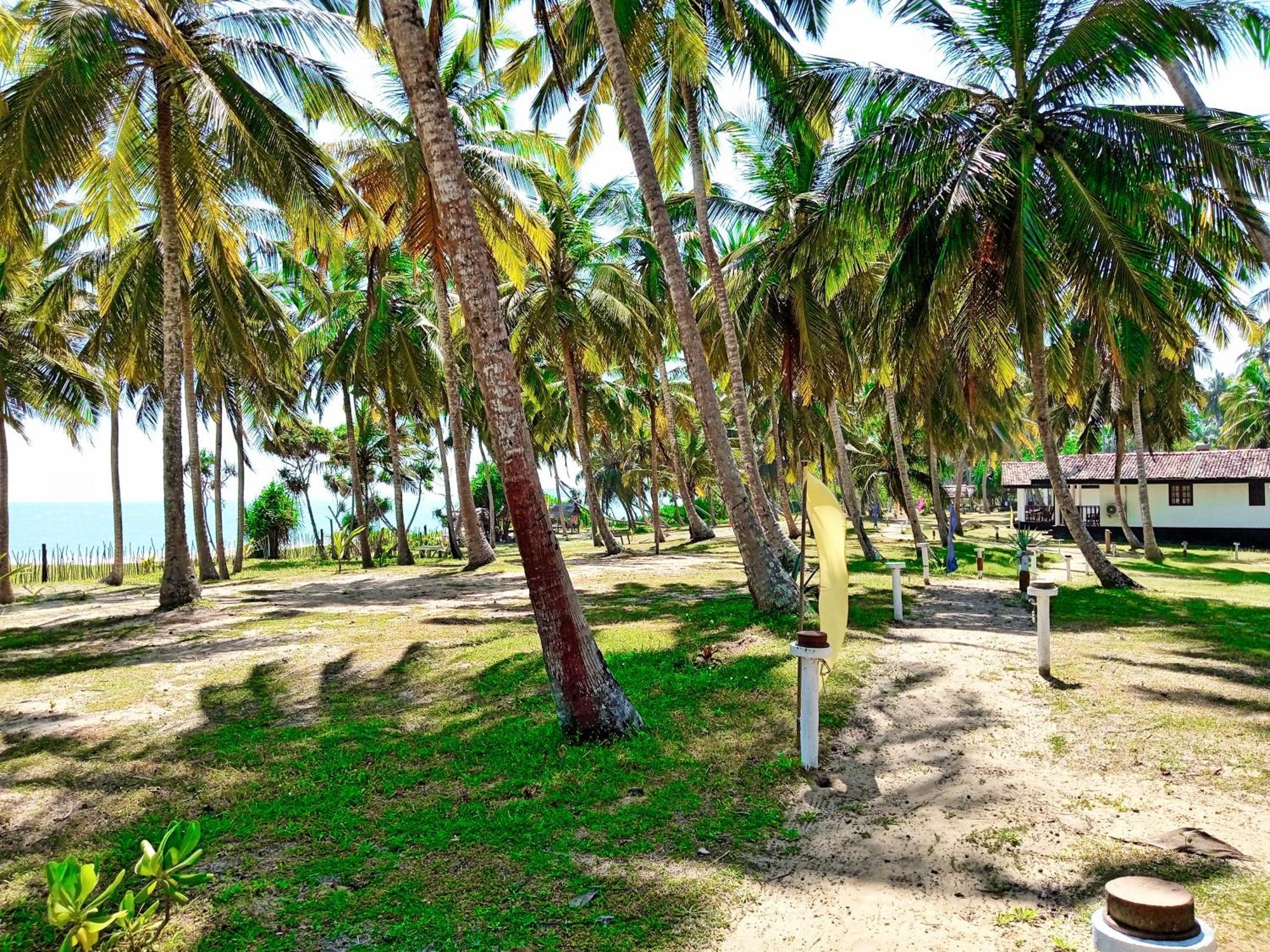 Helios Beach Resort แทนกาลเล ภายนอก รูปภาพ