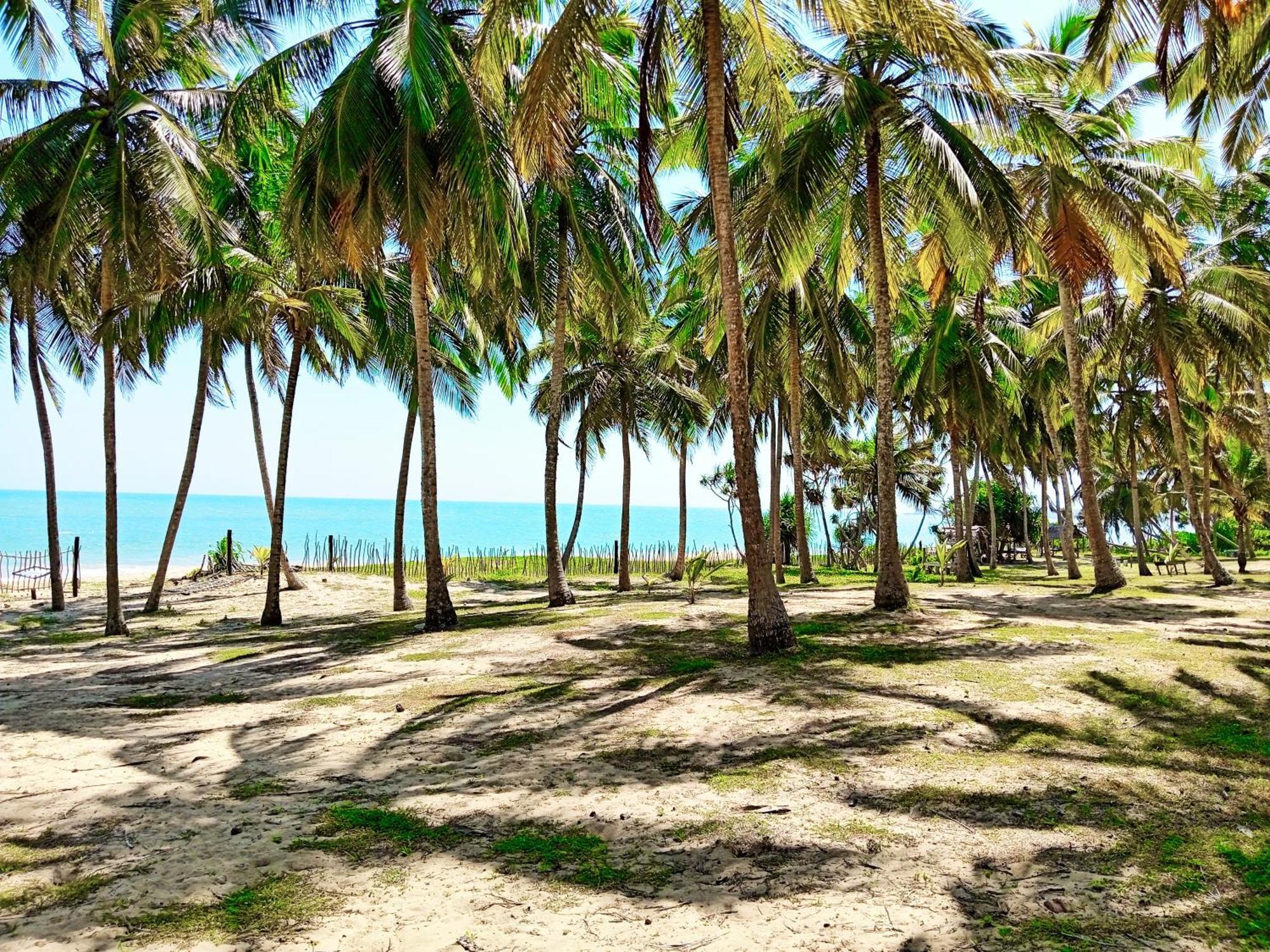 Helios Beach Resort แทนกาลเล ภายนอก รูปภาพ